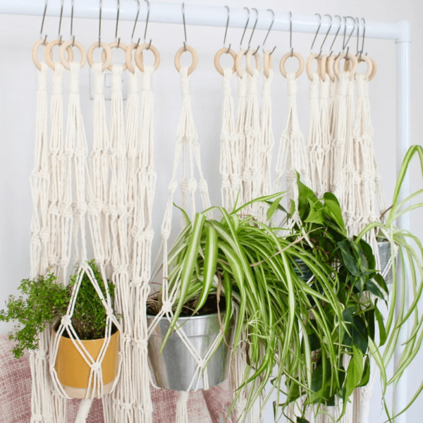 Macramé Twisted Plant Hangers