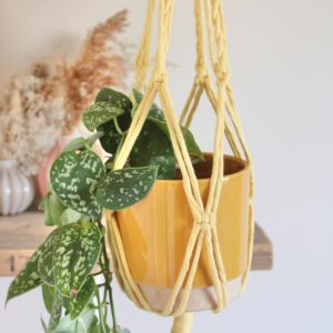 Buttermilk plant hanger