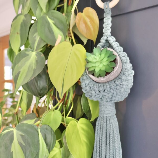 Macrame Plant Hanger