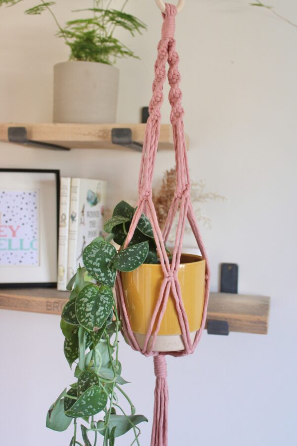 Vintage Pink Plant Hanger