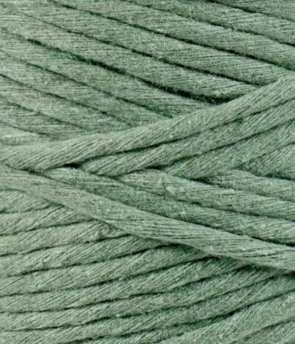 Eucalyptus 3mm Single Ply Bobbiny - Image 2